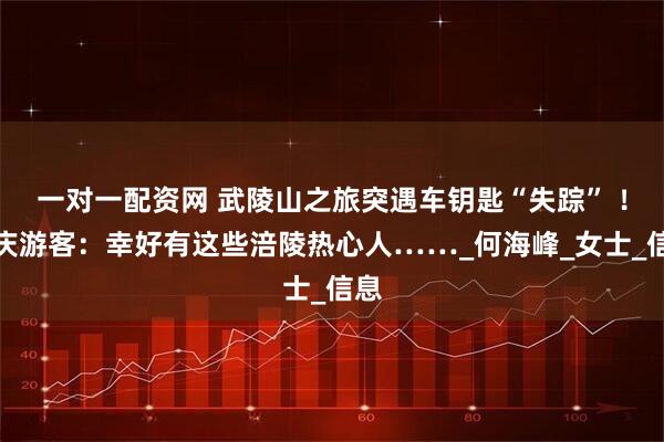 一对一配资网 武陵山之旅突遇车钥匙“失踪” ！重庆游客：幸好有这些涪陵热心人……_何海峰_女士_信息