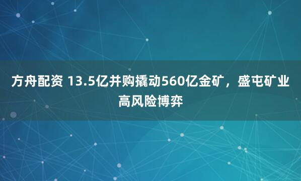 方舟配资 13.5亿并购撬动560亿金矿，盛屯矿业高风险博弈