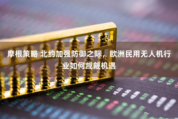 摩根策略 北约加强防御之际，欧洲民用无人机行业如何觊觎机遇